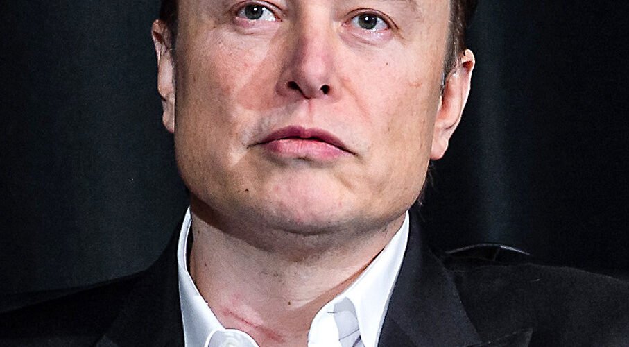 fortune Elon Musk