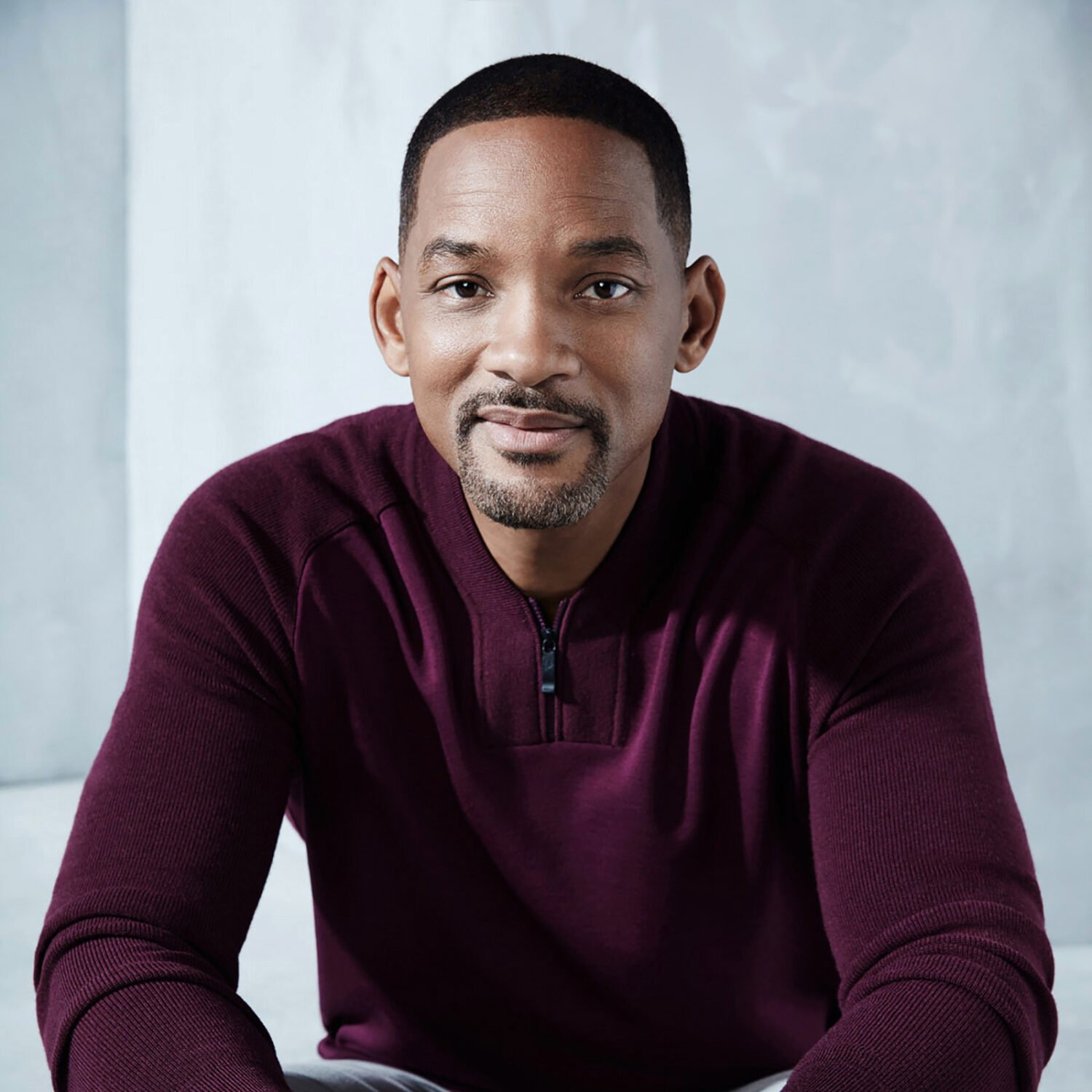 Will Smith riche